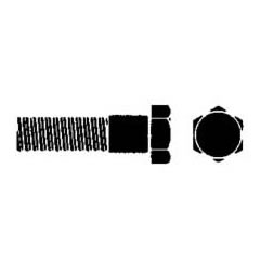 FASCO/���a1/4''-T20-����2'' �Z�p�{���g/4�{�̊O�ω摜