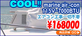 �H���s�v�̃|�[�^�u���G�A�R��